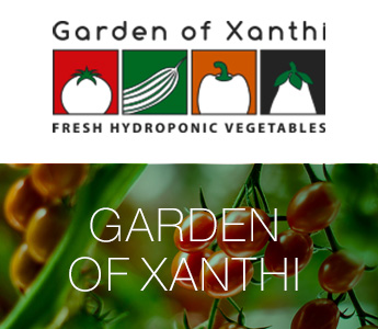 Kipos Xanthis Banner