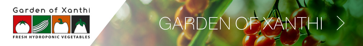 Kipos Xanthis Banner